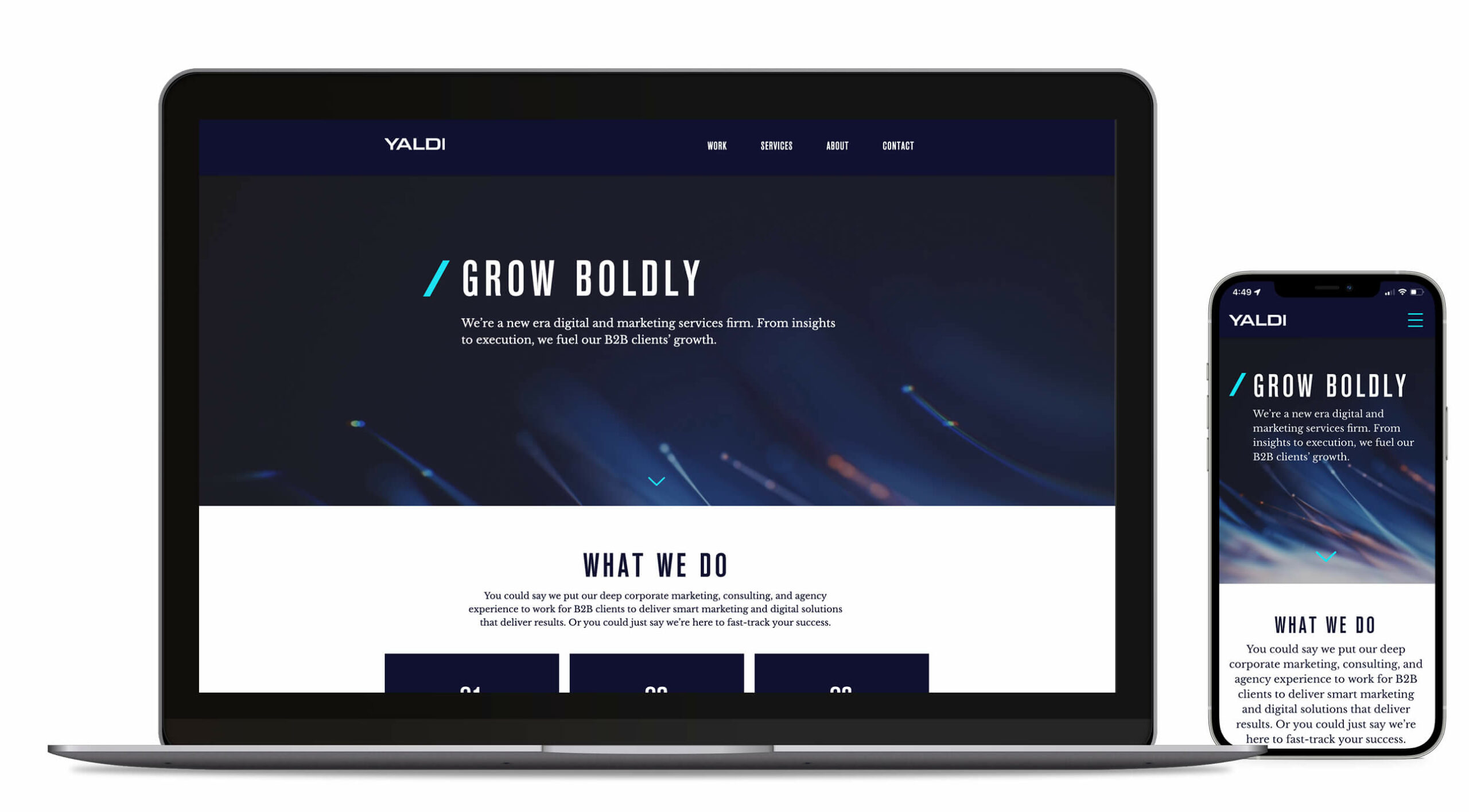 Yaldi-website-design